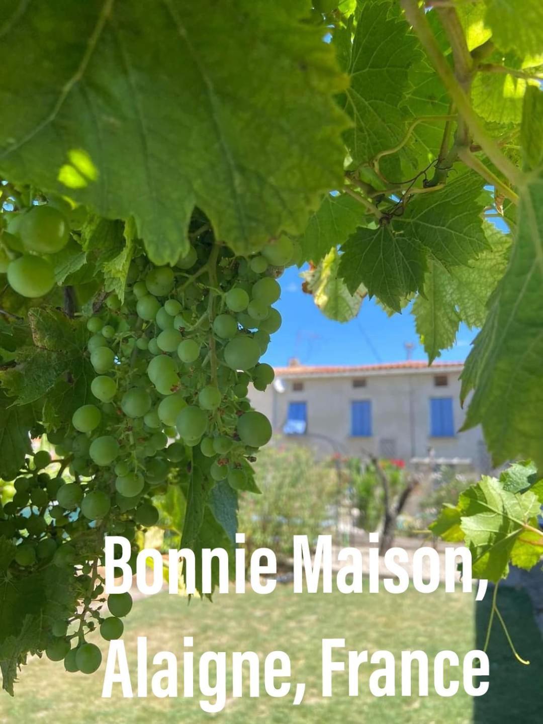 Bonnie Maison Villa Alaigne Bagian luar foto
